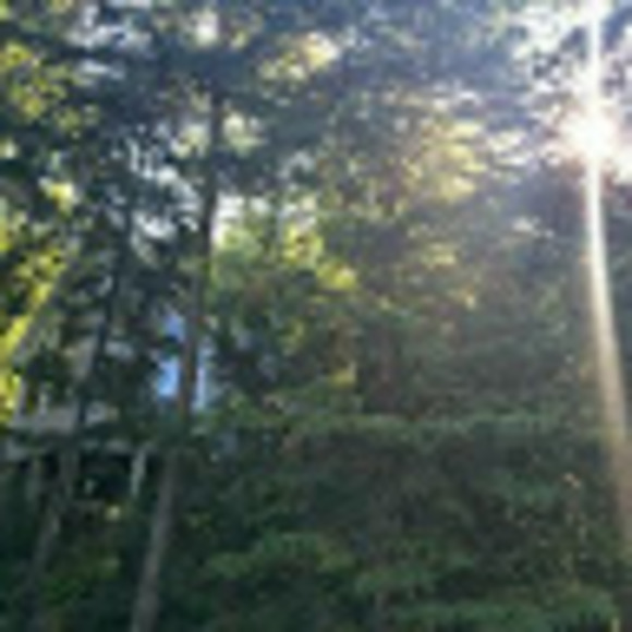 Meet your Posher, Carlie - Picture 1 of 1